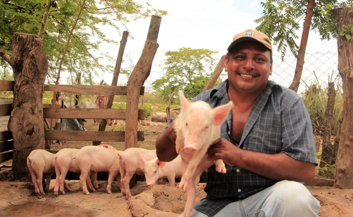 Copy of #2 Don Francisco and his piglets